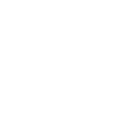 Professional Support Team