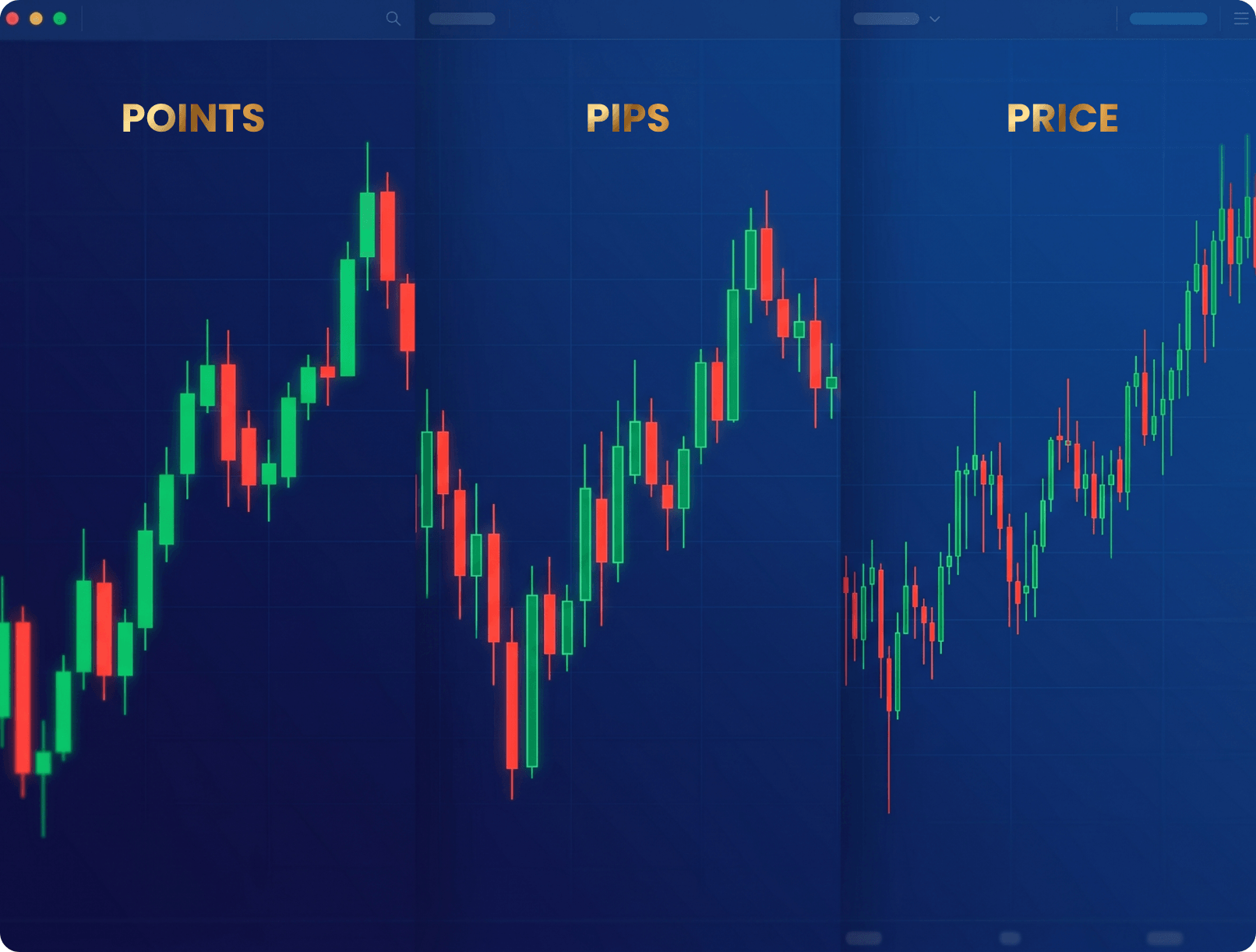 Understanding Pips, Points, and Price Movements